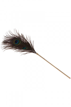 Plumeau à caresses Peacock Tickler - Taboom